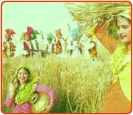 Baisakhi Images